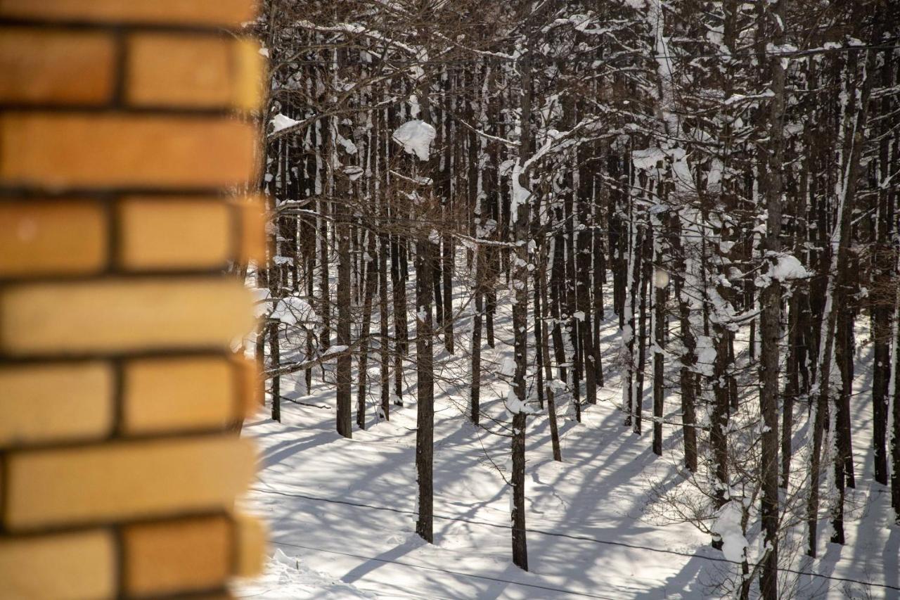 Canopy Lodge - Boutique Lodge At Hakuba Cortina Otari Luaran gambar