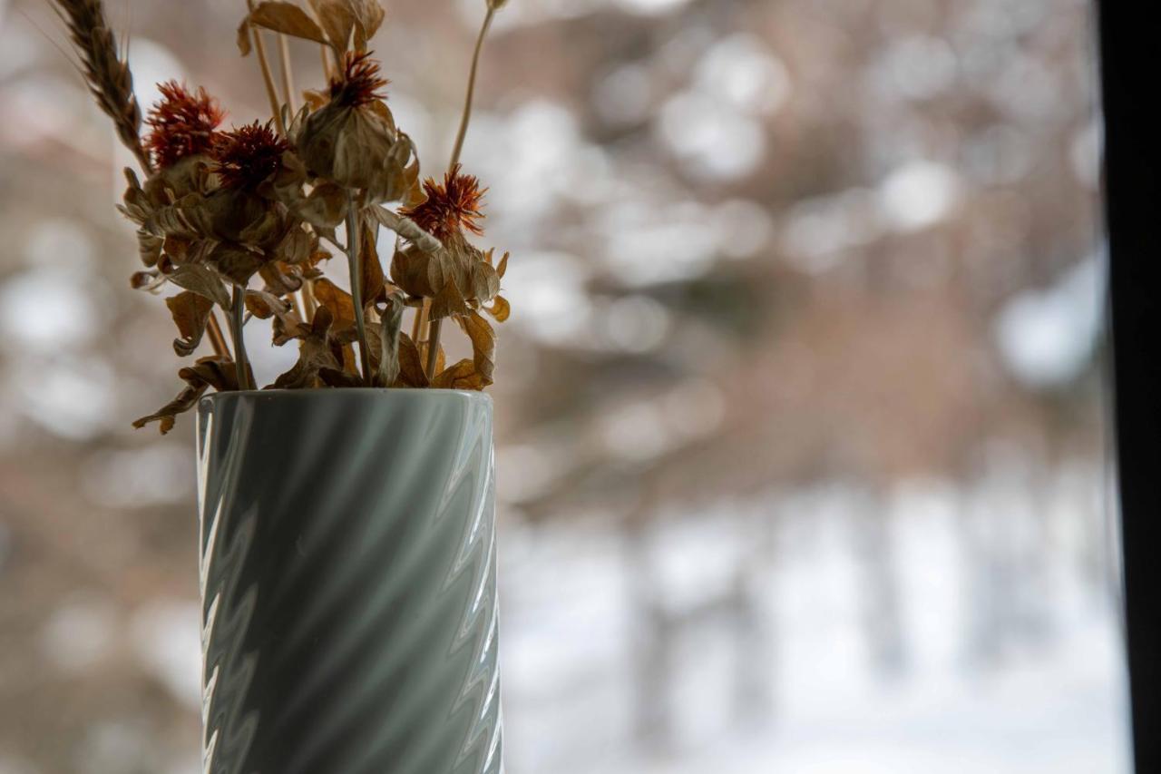 Canopy Lodge - Boutique Lodge At Hakuba Cortina Otari Luaran gambar